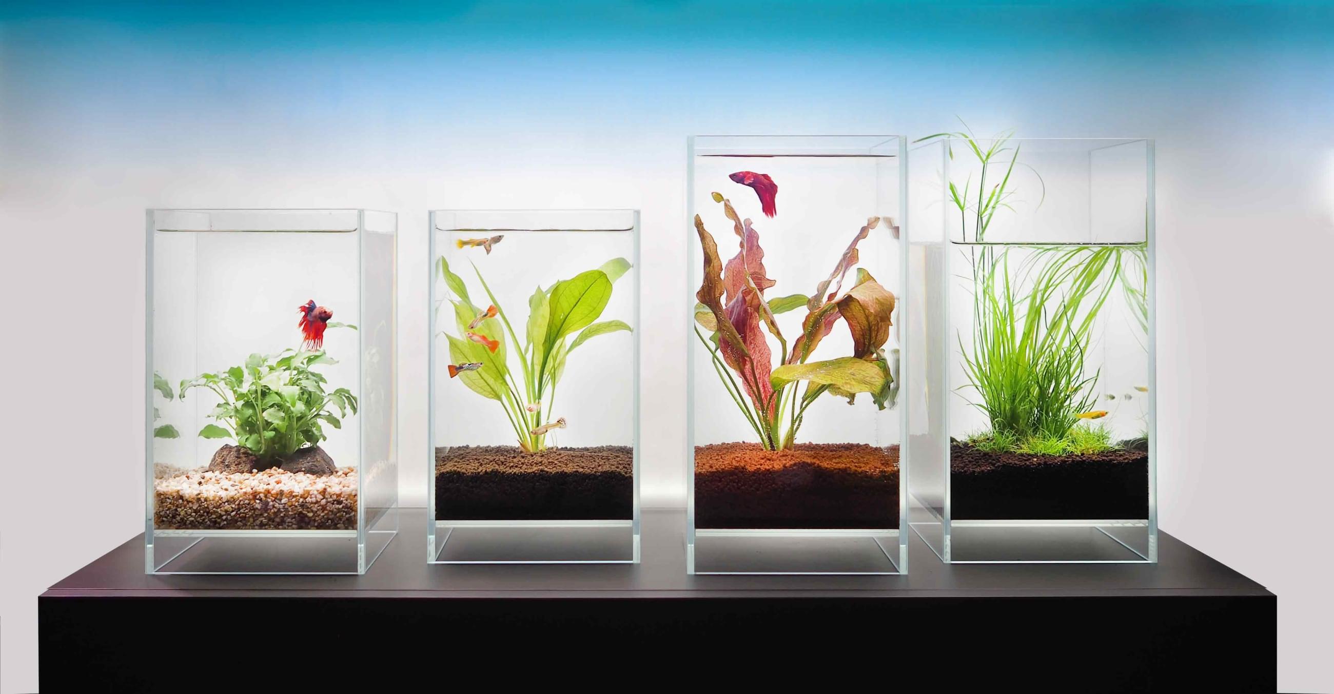 AQUASCAPE malá akvária
