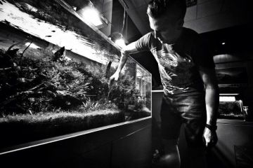 AQUASCAPE údržba akvárí