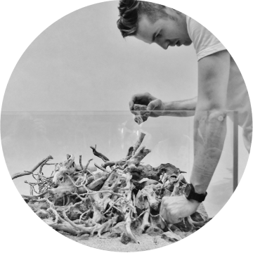 AQUASCAPE Adam Votava