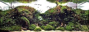 IAPLC se každoročně účastní více než 2000 soutěžících z více než 60 zemí světa.