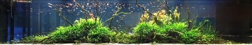 AQUASCAPE Akvárium 5,5 m x 1 m x 1,1 m