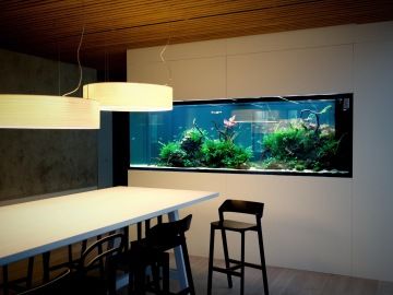 Akvárium na míru AQUASCAPE